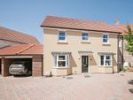 Thumbnail to rent in Digby Way, Thorpe-Le-Soken, Clacton-On-Sea