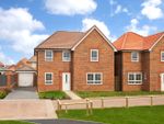 Thumbnail to rent in "Radleigh" at Buttercup Drive, Newcastle Upon Tyne