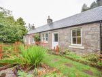 Thumbnail to rent in Burnside, Forfar, Angus