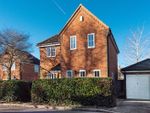 Thumbnail for sale in Kingsley Court, Welwyn Garden City