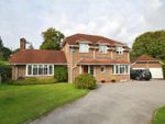 Thumbnail to rent in Armstrong Road, Brockenhurst
