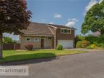 Thumbnail for sale in Yerburgh Road, Mellor, Blackburn