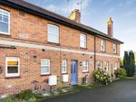 Thumbnail to rent in St. Rumbolds Road, Wallingford