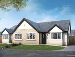 Thumbnail to rent in Ribblesdale, Smithyfield Avenue, Worsethorne