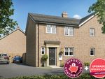 Thumbnail to rent in "The Eveleigh" at Meadowsweet Way, Ely
