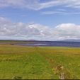 Thumbnail for sale in Balfour, Orkney