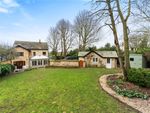 Thumbnail to rent in Station Road, Odsey, Baldock, Herts