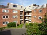 Thumbnail to rent in Highmill, Kingshill, Ware