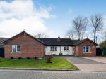 Thumbnail for sale in Meadowfield, Harker Road Ends, Carlisle