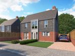 Thumbnail to rent in The Beech At Conningbrook Lakes, Kennington, Ashford