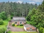 Thumbnail for sale in Pinewoods, Kingsford Lane, Wolverley