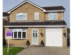Thumbnail to rent in Southwell Green, Darlington