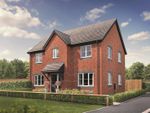 Thumbnail for sale in Plot 9, The Birch, Montgomery Grove, Oteley Road, Shrewsbury