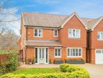 Thumbnail to rent in Icarus Avenue, Burgess Hill