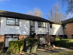 Thumbnail for sale in Avondale, Ash Vale, Surrey