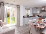 Thumbnail to rent in "Hadley" at Worthing Grove, Tamworth