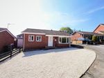 Thumbnail to rent in Laurel Garth Close, Old Whittington, Chesterfield
