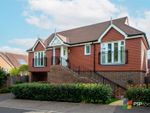 Thumbnail for sale in Cowslip Drive, Lindfield, Haywards Heath