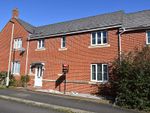 Thumbnail to rent in Walsingham Road, Kings Heath, Exeter
