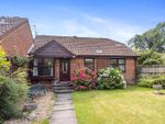 Thumbnail for sale in Weston Lea, West Horsley, Leatherhead