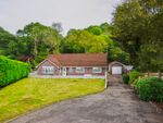 Thumbnail for sale in Greenfield Terrace, Argoed