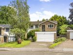 Thumbnail for sale in Hartley Close, Bromley