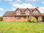 Thumbnail for sale in Low Road, Great Plumstead, Norwich