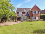 Thumbnail to rent in Staplecross, Robertsbridge