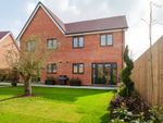 Thumbnail to rent in "The Chandler" at Broad Street Green Road, Great Totham, Maldon