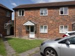 Thumbnail to rent in Speedwell Close, Cherry Hinton, Cambridge