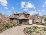 Thumbnail to rent in Ilex Way, Goring-By-Sea