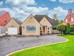 Thumbnail for sale in Oakfield Avenue, Chesterfield