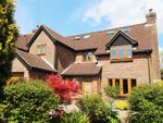 Thumbnail to rent in Byron Close, Bishops Waltham