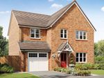 Thumbnail to rent in "The Buckland" at Croston Road, Farington Moss, Leyland