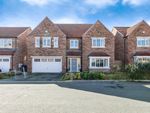 Thumbnail to rent in Windsor Close, Cawood, Selby