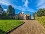 Thumbnail for sale in South Gorley, Ringwood