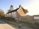 Thumbnail to rent in Alberts Cottage, Upwaltham, Petworth, West Sussex