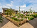 Thumbnail for sale in Goldlay Gardens, Chelmsford, Essex
