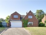 Thumbnail for sale in Mount View, North Ferriby