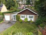 Thumbnail for sale in Pine Drive, Finchampstead, Wokingham, Berkshire