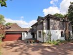 Thumbnail for sale in Brockley Grove, Hutton Mount, Brentwood