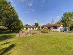 Thumbnail for sale in Lark Hill Road, Canewdon, Rochford, Essex