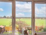 Thumbnail to rent in Carvers Croft, Woolmer Green, Knebworth, Hertfordshire