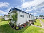 Thumbnail for sale in Meadowview Park, St. Osyth Road, Little Clacton