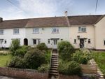 Thumbnail for sale in Coombe Gardens, First Avenue, Teignmouth