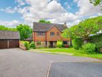 Thumbnail to rent in Britts Farm Road, Buxted