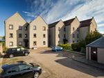 Thumbnail to rent in Arbuthnott Court, Stonehaven, Aberdeenshire