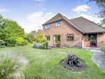 Thumbnail for sale in East Park Farm Drive, Charvil, Reading, Berkshire