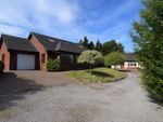 Thumbnail for sale in 2D Tinwald Downs Road, Dumfries