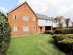 Thumbnail to rent in Elmwood Avenue, Colchester, Essex